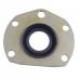 AMC20 1 Piece Outer Axle Seal